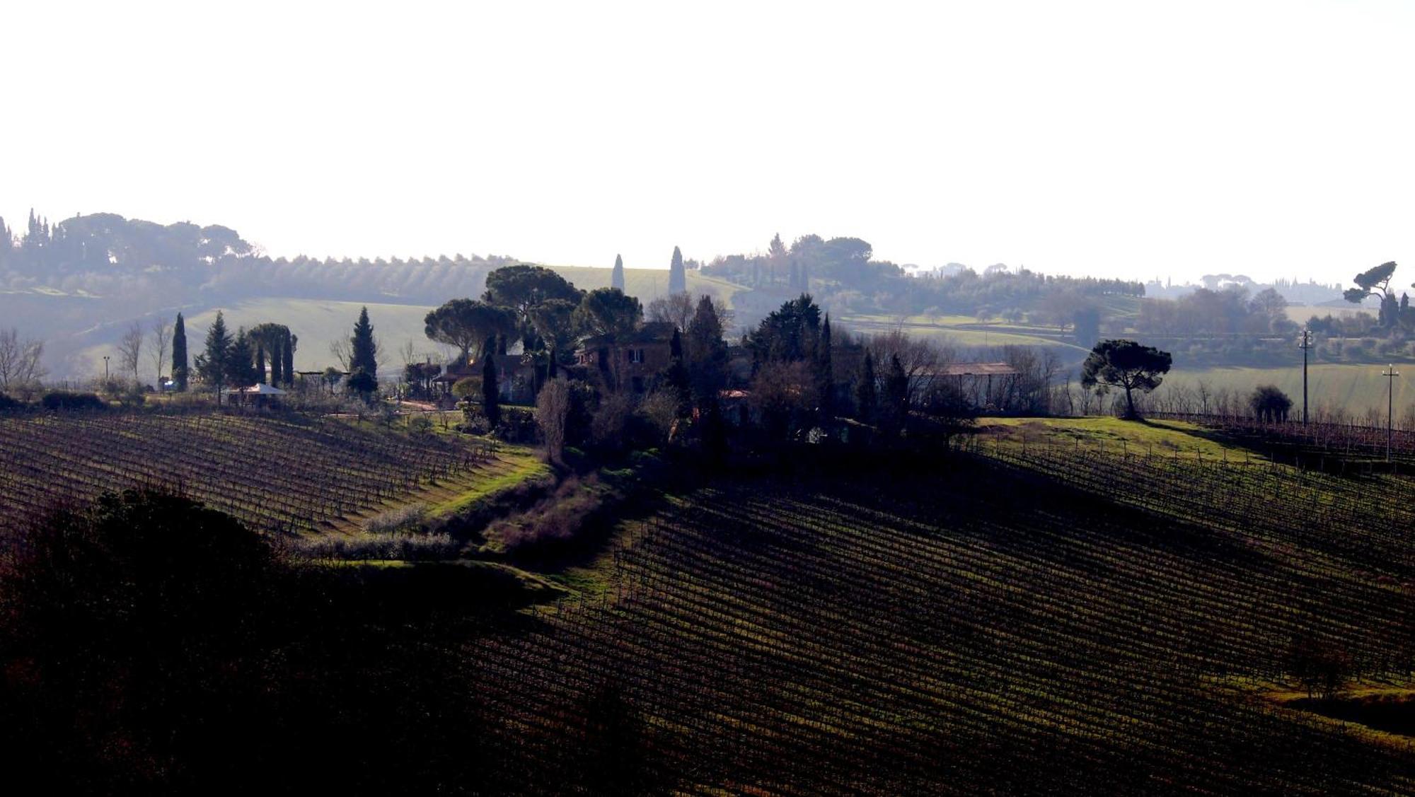 Agriturismo La Terra Valiano Extérieur photo