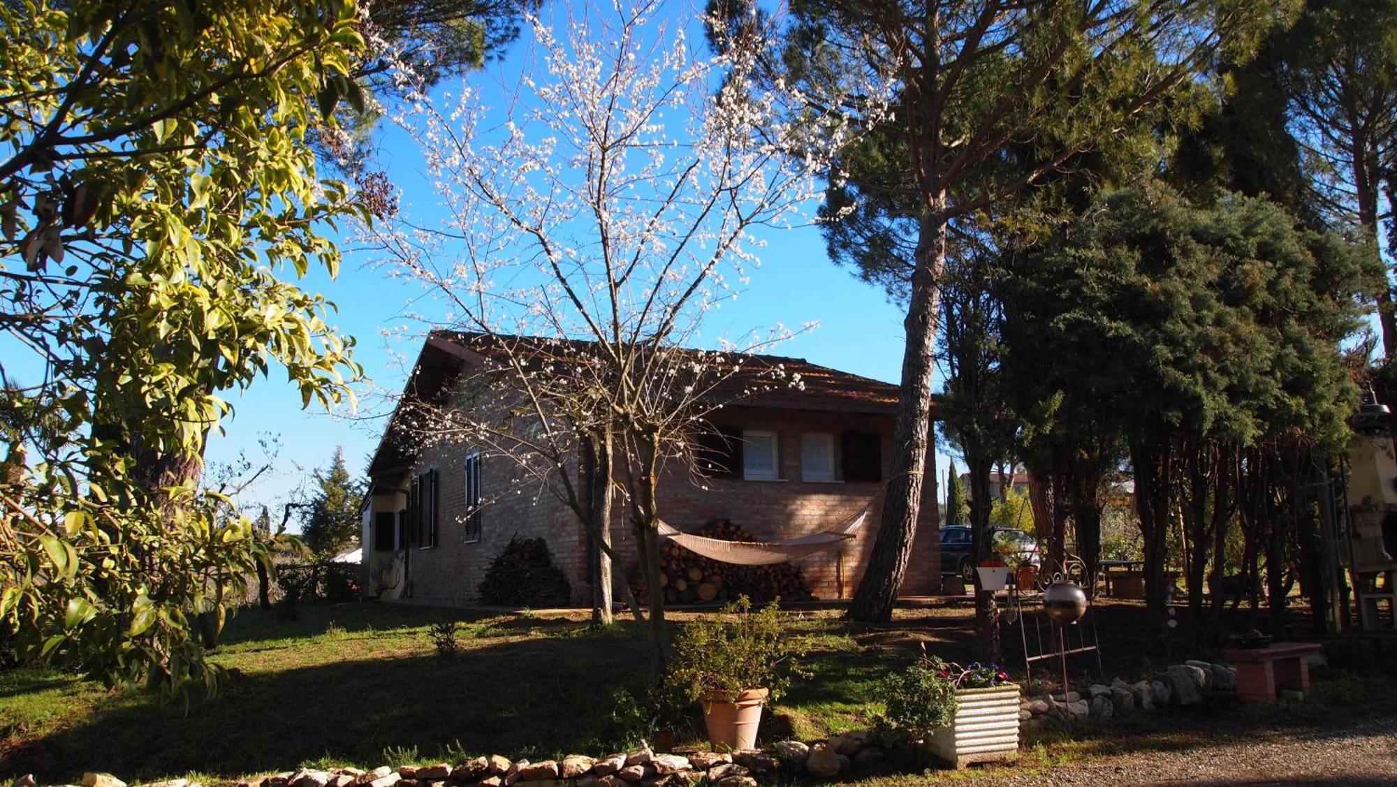 Agriturismo La Terra Valiano Extérieur photo