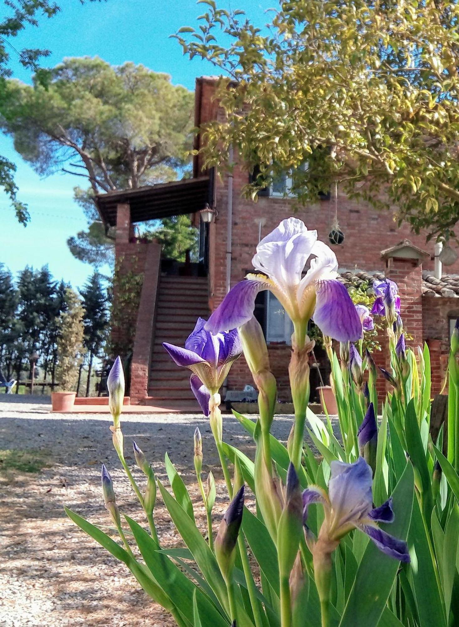 Agriturismo La Terra Valiano Extérieur photo