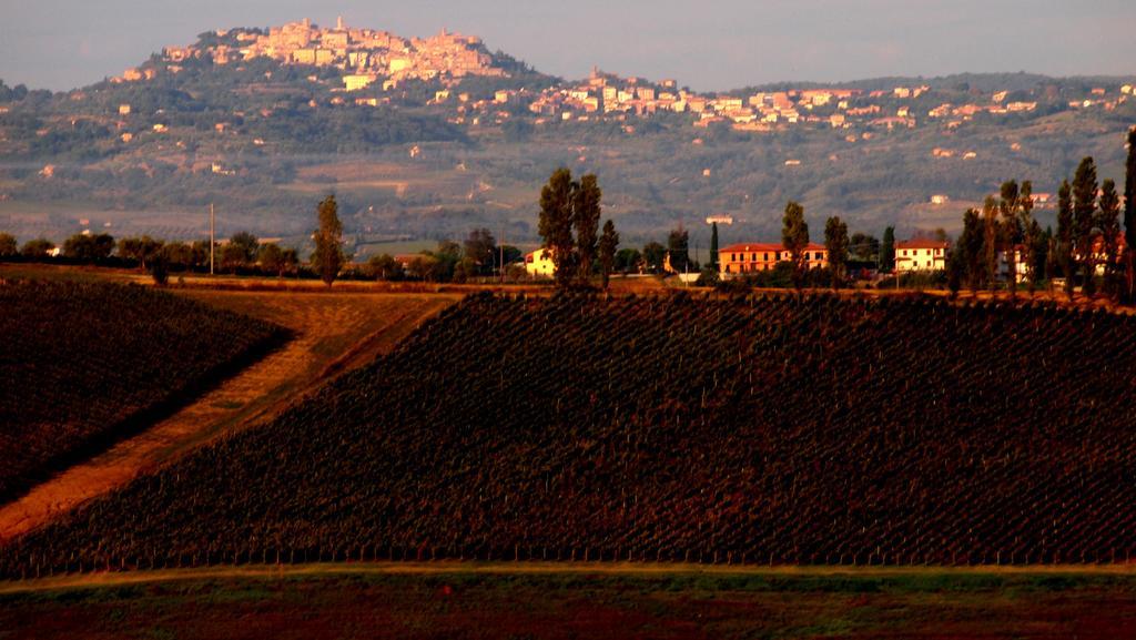 Agriturismo La Terra Valiano Extérieur photo