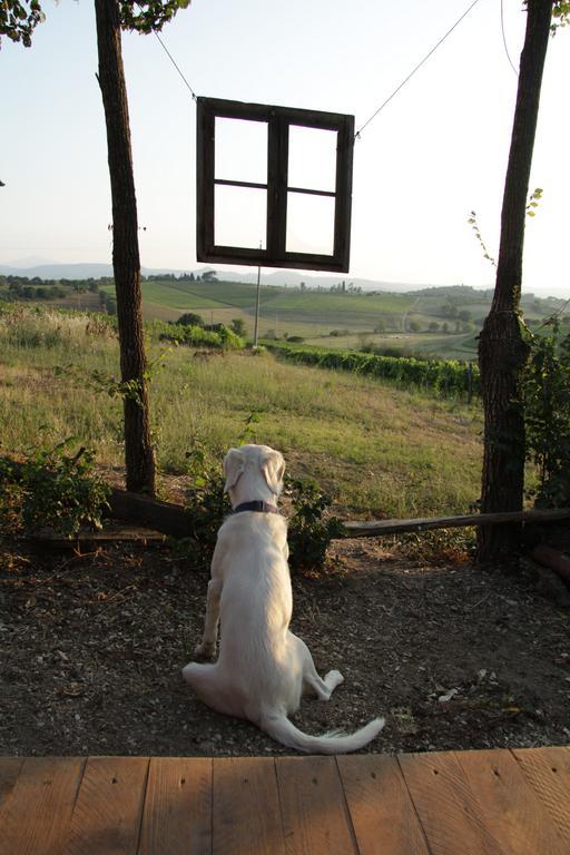 Agriturismo La Terra Valiano Extérieur photo